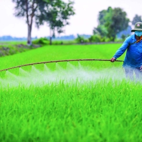 Mua Hóa Chất KNO3 Ở Đâu Chính Hãng Chất Lượng